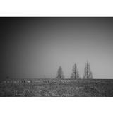 dailyPhoto13
